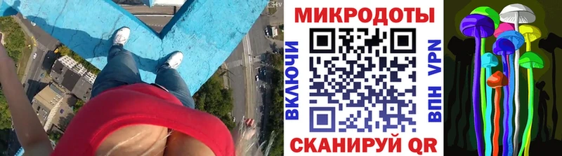 дарнет шоп  ссылка на мегу   Псилоцибиновые грибы Psilocybe  Колпашево 